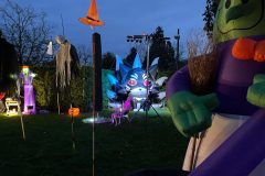 Foto album lichtjesfestival halloween  Rijsbergen 28-10-2023