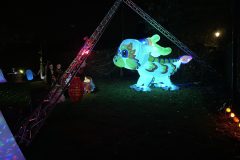 Foto album lichtjesfestival halloween Rijsbergen 29-10-2022