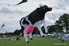 Foto album Rijsbergse Vliegerdagen 16 en 17 augustus 2014