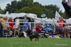 Foto album Rijsbergse Vliegerdagen 16 en 17 augustus 2014