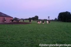 Rijsbergse Vliegerdagen 20 en 21 augustus 2016