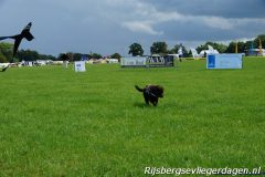 Rijsbergse Vliegerdagen 19 en 20 augustus 2017