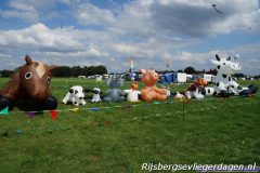 Rijsbergse Vliegerdagen 18 en 19 augustus 2018.