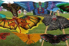 Rijsbergse Vliegerdagen 16 en 17 Augustus 2025