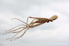 Rijsbergse Vliegerdagen 16 en 17 Augustus 2025