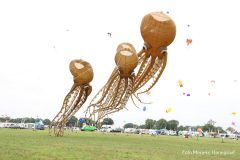 Rijsbergse Vliegerdagen 16 en 17 Augustus 2025