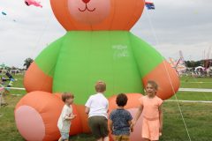 Rijsbergse Vliegerdagen 16 en 17 Augustus 2025