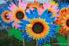 Rijsbergse Vliegerdagen 16 en 17 Augustus 2025