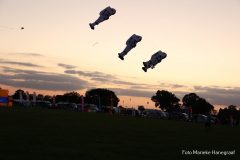 Rijsbergse Vliegerdagen 16 en 17 Augustus 2025