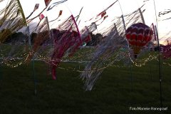 Rijsbergse Vliegerdagen 16 en 17 Augustus 2025