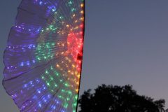 Rijsbergse Vliegerdagen 16 en 17 Augustus 2025