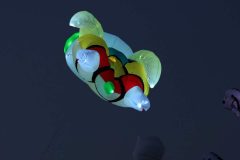 Rijsbergse Vliegerdagen 16 en 17 Augustus 2025