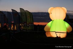 Rijsbergse Vliegerdagen 16 en 17 Augustus 2025