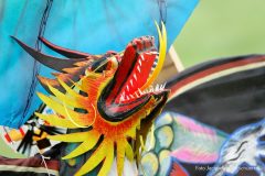 Rijsbergse Vliegerdagen 16 en 17 Augustus 2025