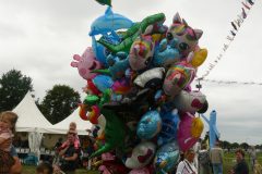 Rijsbergse Vliegerdagen 16 en 17 Augustus 2025