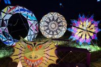 Foto album Rijsbergse Vliegerdagen 2026
