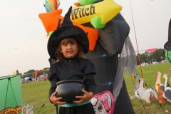 Rijsbergse Vliegerdagen 15 en 16 Augustus 2026