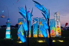 Rijsbergse Vliegerdagen 15 en 16 Augustus 2026