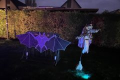 Halloween Rijsbergen 2 November 2024
