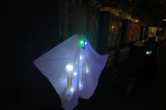 Halloween Rijsbergen 2 November 2024