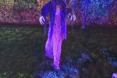 Halloween Rijsbergen 2 November 2024