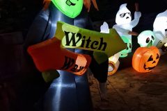 Halloween Rijsbergen 2 November 2024