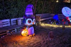 Halloween Rijsbergen 2 November 2024