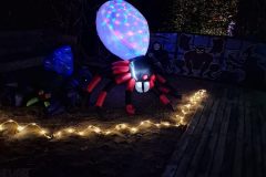 Halloween Rijsbergen 2 November 2024