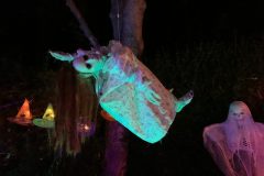 Halloween Rijsbergen 2 November 2024