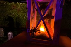 Halloween Rijsbergen 2 November 2024