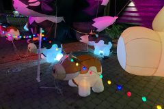 Halloween Rijsbergen 2 November 2024