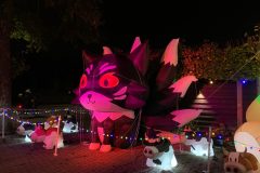 Halloween Rijsbergen 2 November 2024