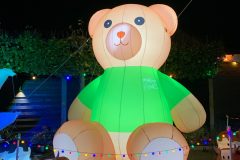 Halloween Rijsbergen 2 November 2024