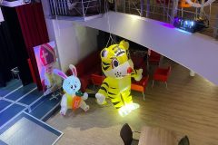 Lichtjesfestival Amarant  Rijsbergen 15-11-2025