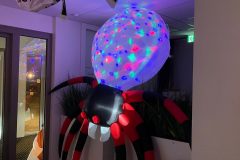 Lichtjesfestival Amarant  Rijsbergen 15-11-2025