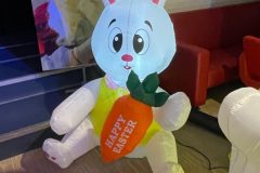 Lichtjesfestival Amarant  Rijsbergen 15-11-2025