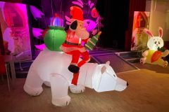 Lichtjesfestival Amarant  Rijsbergen 15-11-2025