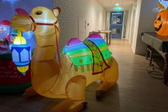 Lichtjesfestival Amarant  Rijsbergen 15-11-2025