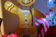 Lichtjesfestival Amarant  Rijsbergen 15-11-2025