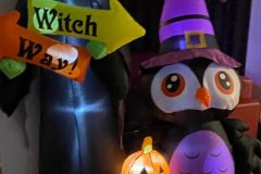 Lichtjesfestival Amarant  Rijsbergen 15-11-2025