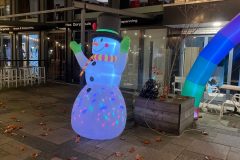 Lichtjesfestival Amarant  Rijsbergen 15-11-2025