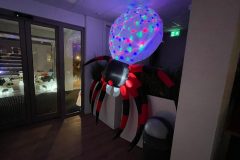 Lichtjesfestival Amarant  Rijsbergen 15-11-2025