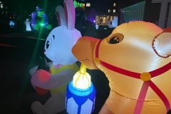 Lichtjesfestival Amarant Tilburg 15-03-2025