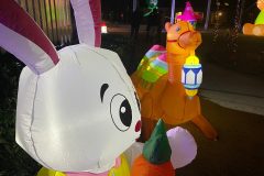 Lichtjesfestival Amarant Tilburg 15-03-2025