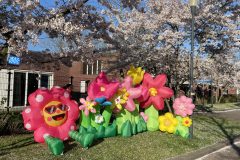 Lichtjesfestival Amarant Tilburg 21-03-2026