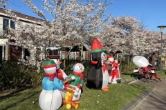 Lichtjesfestival Amarant Tilburg 21-03-2026