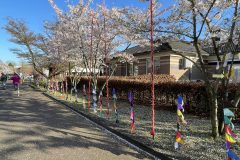 Lichtjesfestival Amarant Tilburg 21-03-2026