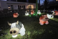 Lichtjesfestival Amarant Tilburg 21-03-2026