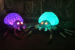 Lichtjesfestival Halloween Rijsbergen  01-11-2025