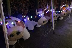 Lichtjesfestival Winterwandeling Rijsbergen 14 December 2024